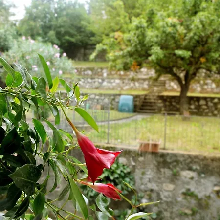 Corte Picasass Bed and Breakfast